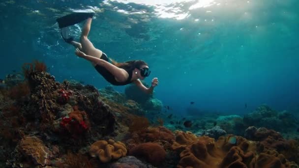 セクシーな女性が解放された 若いフィット女性の解放された川は インドネシアのバリのヌサペニダ島近くの健康的なサンゴ礁の上を泳いでいます — ストック動画
