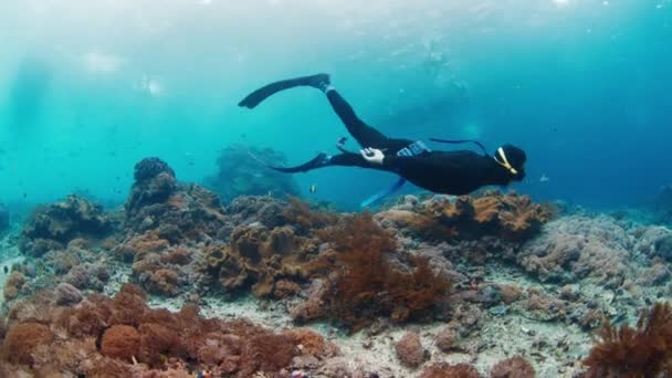 Freediver Nada Lentamente Sobre Recife Coral — Vídeo de Stock