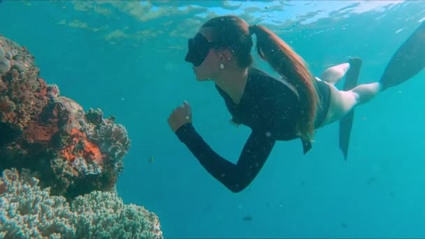Kadın Serbest Dalgıç Resifte Yüzmeyi Sever Genç Kadın Serbest Dalgıç — Stok video