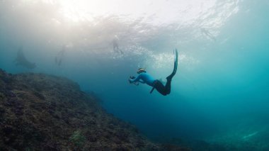 Sualtı fotoğrafçısı Manta Ray 'in fotoğraflarını çekiyor. Resifin üzerinde yüzen dev okyanus Manta Ray 'i kameralı Freediver. Nusa Penida, Bali, Endonezya