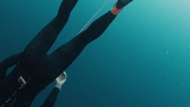 Αρσενικό Freediver Αρχίζει Κατεβαίνει Κατά Μήκος Του Σχοινιού Ελεύθερη Πειθαρχία — Αρχείο Βίντεο