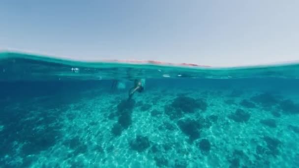 トロピカル海で解放された セクシーな女性は 熱帯の海で水中で泳ぎ 降下します 熱帯海で解放された水着の女性 — ストック動画