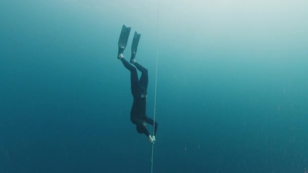 Male Freediver Descending Rope Free Diving Work Out Open Sea — Stock Video