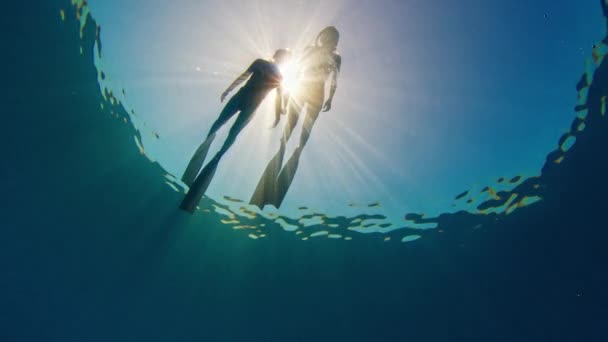 Két Úszik Tengerben Vízalatti Kilátás Nők Búvárkodás Felszínen Napsütéses Nyugodt — Stock videók
