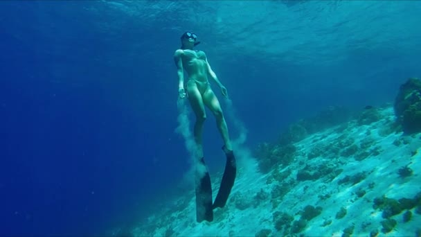Молода Жінка Плаває Під Водою Диханні Сексуальна Жінка Вільно Плаває — стокове відео