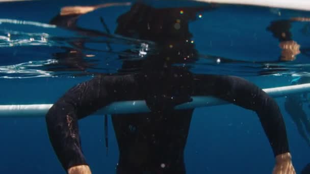 男子自由泳者在野外自由潜水时在水面上放松 — 图库视频影像