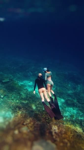 Dua Perempuan Freedivers Berenang Bawah Air Laut Tropis Dan Menikmati — Stok Video