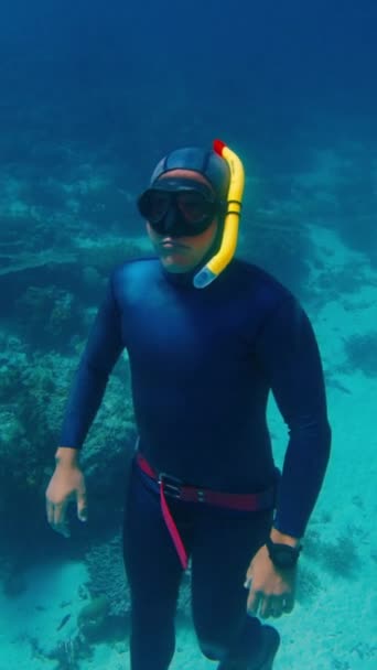 Plongeur Libre Mâle Monte Profondeur Dans Mer Tropicale — Video