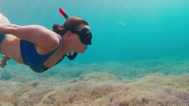Vrouw Snorkelen Huidduiken Tropische Zee Zwemmen Het Levendige Roze Koraalrif — Stockvideo