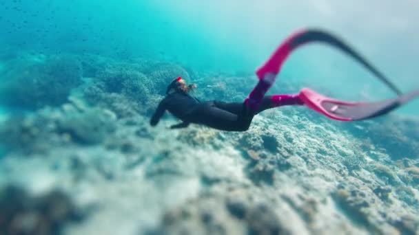 Γυναίκα Freediver Κολυμπά Κάτω Από Νερό Και Εξερευνά Ζωντανά Και — Αρχείο Βίντεο