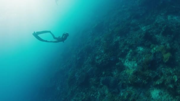 Mulher Livre Nada Debaixo Água Explora Recifes Coral Vívidos Saudáveis — Vídeo de Stock