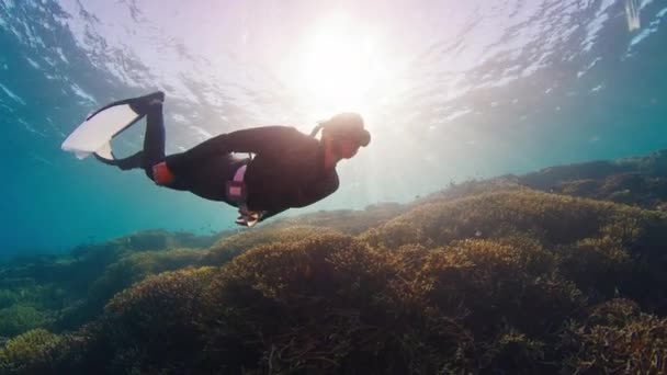 Female Freediver Swims Underwater Explores Vivid Healthy Coral Reef Komodo — Stock Video