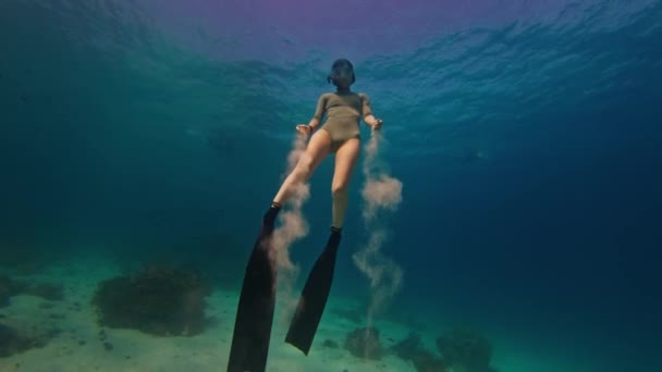 Женщина Фридайвер Поднимается Чистом Тропическом Море — стоковое видео