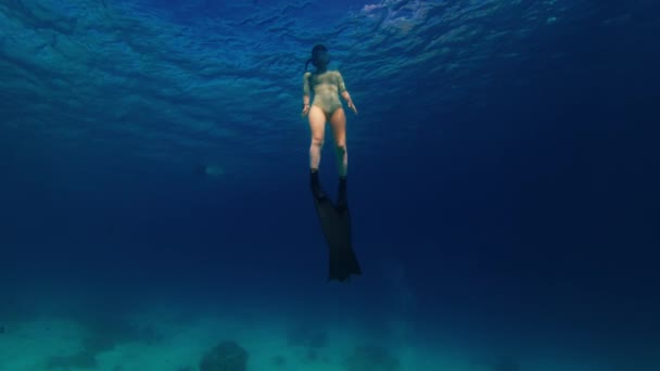 Žena Šplhá Čistém Tropickém Moři — Stock video