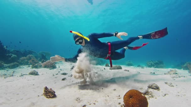 Ağır Çekimde Serbest Dalış Erkek Frediver Kumlu Zeminde Tropikal Denizde — Stok video