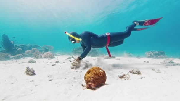 Ekstremalne Powolne Nurkowanie Prędkością Warp Męski Freediver Ślizga Się Tropikalnym — Wideo stockowe