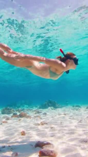 Sexy Freediver Swims Sandy Bottom Female Freediver Bikini Swims Underwater — Stock Video