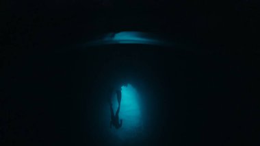 Freediver mağarada suyun altında yüzer. Erkek serbest dalgıç mağarayı keşfeder ve içinde yüzer.