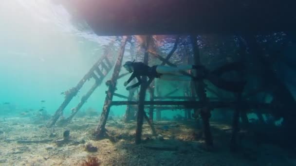 Жінка Вільно Плаває Під Водою Досліджує Старий Дерев Яний Пірс — стокове відео