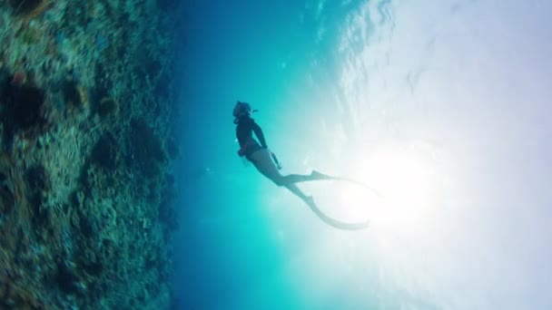 Mujer Libre Nada Bajo Agua Explora Arrecife Coral Vivo Saludable — Vídeo de stock