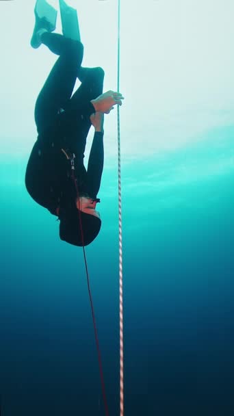 Loopable Seamless Footage Male Freediver Descending Rope Free Fall — Stock Video