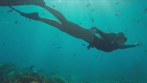 解放された女性は サンゴ礁で泳いでいます 若い女性が水中を泳ぎ インドネシアのバリ島ヌサペニダ島で健康的なサンゴ礁を探検します — ストック動画