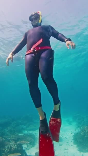 Mężczyzna Freediver Wznosi Się Głębokości Tropikalnym Morzu — Wideo stockowe