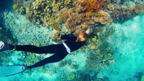 Женщина Фридайвер Плавает Водой Исследует Живой Здоровый Коралловый Риф Национальном — стоковое видео