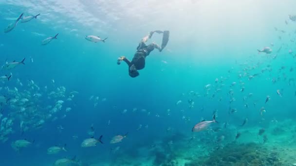 Freediver Κολυμπά Κάτω Από Νερό Σχολή Των Ψαριών Στροβιλίζονται Και — Αρχείο Βίντεο