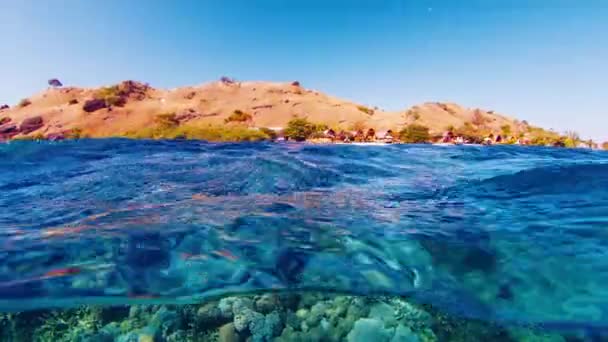 Splitted View Healthy Coral Reef Underwater Dry Land Komodo National — Stock Video