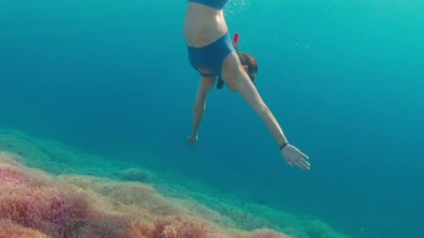 Mulher Mergulhando Fazendo Mergulho Pele Mar Tropical Nadando Sobre Vívido — Vídeo de Stock