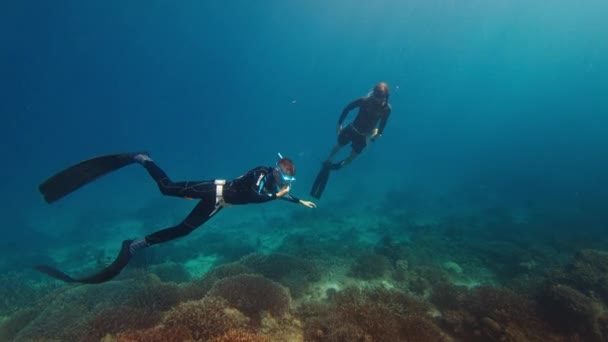 2人の男性が水中で泳ぎ インドネシアのコモド国立公園で鮮やかで健康的なサンゴ礁を探検します — ストック動画