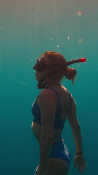 Vrouw Freediver Zwemt Onder Water Zee Bij Zonsondergang — Stockvideo