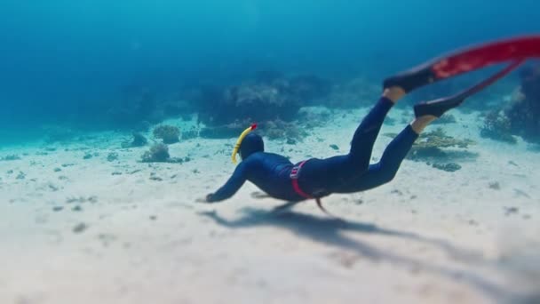 Erkek Frediver Kumlu Zeminde Tropikal Denizde Süzülür — Stok video