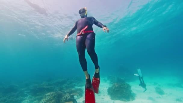 Pria Freediver Naik Dari Kedalaman Laut Tropis — Stok Video