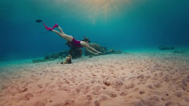 Γυναίκα Freediver Ροζ Κοστούμι Γλιστρά Κάτω Από Νερό Και Απολαμβάνει — Αρχείο Βίντεο