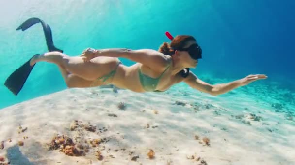 ビキニでフリーダイバー セクシーな女性は サンゴ礁の上の熱帯の海で水中を泳ぎます 熱帯海で解放された水着の女性 — ストック動画