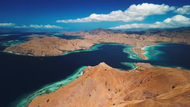 Güneşli Sakin Bir Günde Komodo Ulusal Parkı Flores Adası Endonezya — Stok video