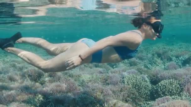 Młoda Kobieta Pływa Pod Wodą Nad Rafą Koralową Freediver Snorkeling — Wideo stockowe