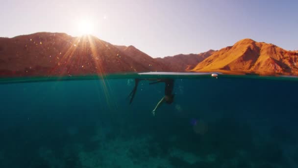 免费潜水员在日出时潜入水下 背景是科莫多岛 日出时在印度尼西亚科莫多国家公园免费潜水和游泳 — 图库视频影像