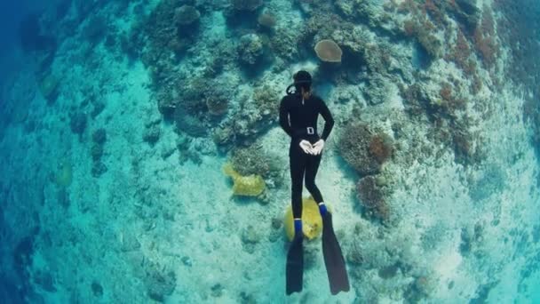 Freediver Glides Underwater Vivid Coral Reef Komodo National Park Indonesia — Stock Video