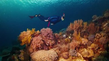 Freediver geceleri mercan resifinin üzerinde suyun altında yüzer.