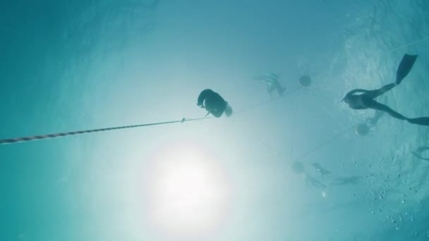 Freediving Rope Sea Male Freediver Descends Rope Monofin — Stock Video