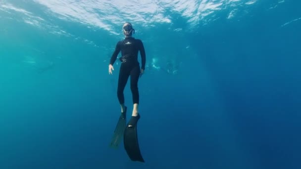 Man Freediver Swims Underwater Sea Slowly Approaches Water Surface — Stock Video