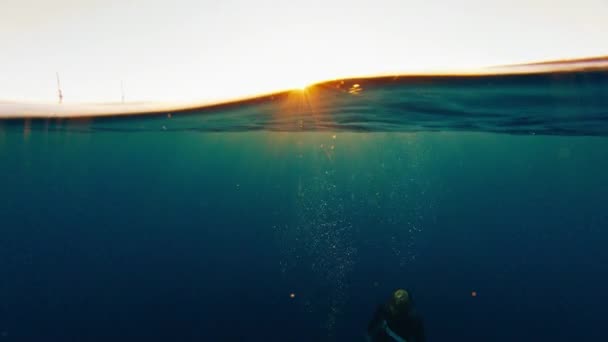 Freitaucherin Steigt Aus Der Tiefe Auf Taucht Der Oberfläche Auf — Stockvideo