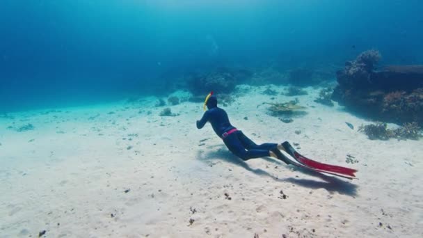 Mannelijke Vrijduiker Hangt Tropische Zee Boven Zandbodem — Stockvideo