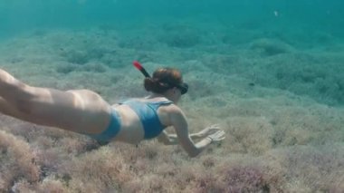 Genç bir kadın mercan resifinin üzerinde su altında yüzüyor. Freediver canlı mercan resiflerinde pembe sağlıklı mercanlarla şnorkelle yüzüyor.