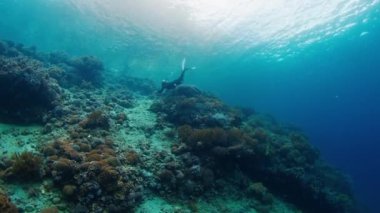 Siyah dalış kıyafeti giymiş bir kadın nefes tutarak dalıyor ve Endonezya 'daki canlı mercan resifini keşfediyor.