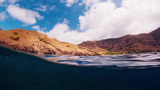 Підводний Вид Яскравий Здоровий Кораловий Риф Відомому Національному Парку Комодо — стокове відео