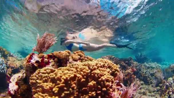 Mavi Mayo Giymiş Bir Kadın Tropikal Denizin Sığ Bölgesinde Şnorkelle — Stok video